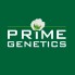 PRIME GENETICS (1)