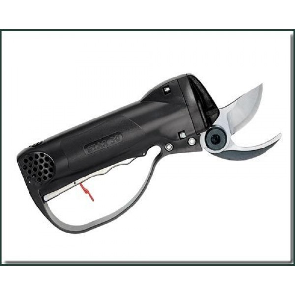 ΨΑΛΙΔΙ ΑΕΡΟΣ CAMPAGNOLA STAR 30V