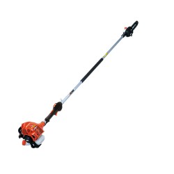 Κονταροπρίονα