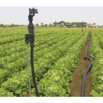 ΜΙΚΡΟΕΚΤΟΞΕΥΤΗΡΑΣ NAAN 501-U 1/2" ΘΗΛΥΚΗ ΒΑΣΗ ΜΙΚΡΟΕΚΤΟΞΕΥΤΗΡΑΣ NAAN 501-U 1/2" ΘΗΛΥΚΗ ΒΑΣΗ