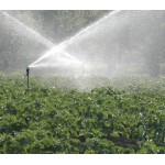 ΜΙΚΡΟΕΚΤΟΞΕΥΤΗΡΑΣ NAAN SUPER 10 ΜΙΚΡΟΕΚΤΟΞΕΥΤΗΡΑΣ NAAN SUPER 10