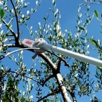 ΠΡΙΟΝΙ ΑΕΡΟΣ SKY 8" 1/4-2Μ ΣΤΕΝΗ ΛΑΜΑ LISAM 