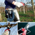 ψαλιδι  Κλαδέματος Lisam Sana Sly 9035   9035