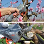 ΨΑΛΙΔΙ ΚΛΑΔΕΜΑΤΟΣ ΜΠΑΤΑΡΙΑΣ BLADE GT LISAM