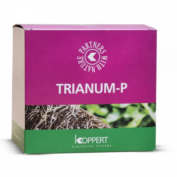 Trianum-P