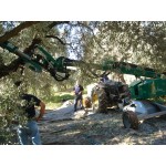 ΔΟΝΗΤΗΣ  ΣΥΡΟΜΕΝΟΣ DE MASI TNS 2 ΕΛΙΑΣ - ΦΥΣΤΙΚΙΑΣ - ΑΜΥΓΔΑΛΙΑΣ - ΚΑΡΥΔΙΑΣ - ΔΕΝΤΡΩΝ