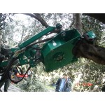 ΔΟΝΗΤΗΣ ΗΜΙΑΝΑΡΤΩΜΕΝΟΣ DE MASI PNS 2 ΕΛΙΑΣ - ΚΑΡΥΔΙΑΣ - ΦΙΣΤΙΚΙΑΣ - ΑΜΥΓΔΑΛΙΑΣ - ΔΕΝΤΡΩΝ