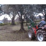 ΔΟΝΗΤΗΣ ΑΝΑΡΤΩΜΕΝΟΣ DE MASI PNS1 ΕΛΙΑΣ - ΚΑΡΥΔΙΑΣ - ΦΙΣΤΙΚΙΑΣ - ΑΜΥΓΔΑΛΙΑΣ - ΔΕΝΤΡΩΝ ΔΟΝΗΤΗΣ ΑΝΑΡΤΩΜΕΝΟΣ DE MASI PNS1 ΕΛΙΑΣ - ΚΑΡΥΔΙΑΣ - ΦΙΣΤΙΚΙΑΣ - ΑΜΥΓΔΑΛΙΑΣ - ΔΕΝΤΡΩΝ