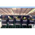 ΦΥΤΕΥΤΙΚΗ ΜΗΧΑΝΗ FEDELE MAX-M