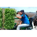 ΦΥΤΕΥΤΙΚΗ ΜΗΧΑΝΗ FEDELE MAX