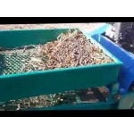 ΚΑΘΑΡΙΣΤΗΡΙΟ - ΚΟΣΚΙΝΟ ΕΛΙΑΣ & ΞΗΡΩΝ ΚΑΡΠΩΝ SEMI ROTATIVA PALUMBO ΚΑΘΑΡΙΣΤΗΡΙΟ - ΚΟΣΚΙΝΟ ΕΛΙΑΣ & ΞΗΡΩΝ ΚΑΡΠΩΝ SEMI ROTATIVA PALUMBO