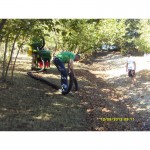 ΣΚΟΥΠΑ ΣΥΛΛΟΓΗΣ ΚΑΣΤΑΝΩΝ - ΚΑΡΥΔΙΩΝ - ΦΟΥΝΤΟΥΚΙΩΝ - ΑΜΥΓΔΑΛΩΝ - ΞΗΡΩΝ ΚΑΡΠΩΝ CHIANCHIA EURO 2000