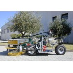 ΣΚΟΥΠΑ ΣΥΛΛΟΓΗΣ DE MASI MTS 180 ΚΑΡΥΔΙΩΝ-ΕΛΙΑΣ-ΦΟΥΝΤΟΥΚΙΩΝ-ΚΑΣΤΑΝΩΝ-ΑΜΥΓΔΑΛΩΝ-ΚΑΡΠΩΝ