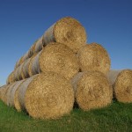 δίχτυ χορτοδεσίας ATLAS®  HELLAGRO 125mm 2000 μετρα